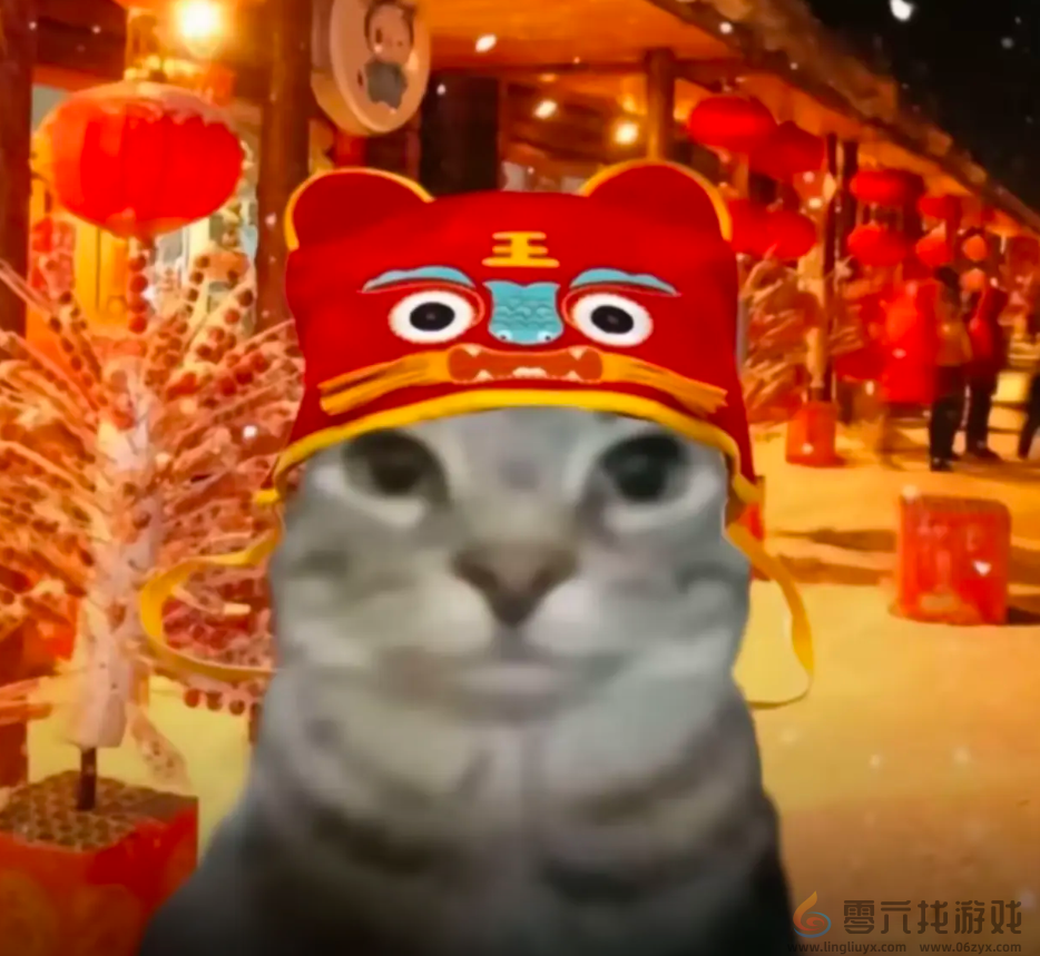 严肃猫表情包大全(图10) 严肃猫表情包大全(图10)