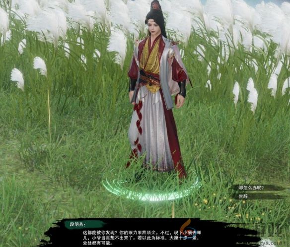 剑网3风花雪宠物奇遇攻略(图11) 剑网3风花雪宠物奇遇攻略(图11)